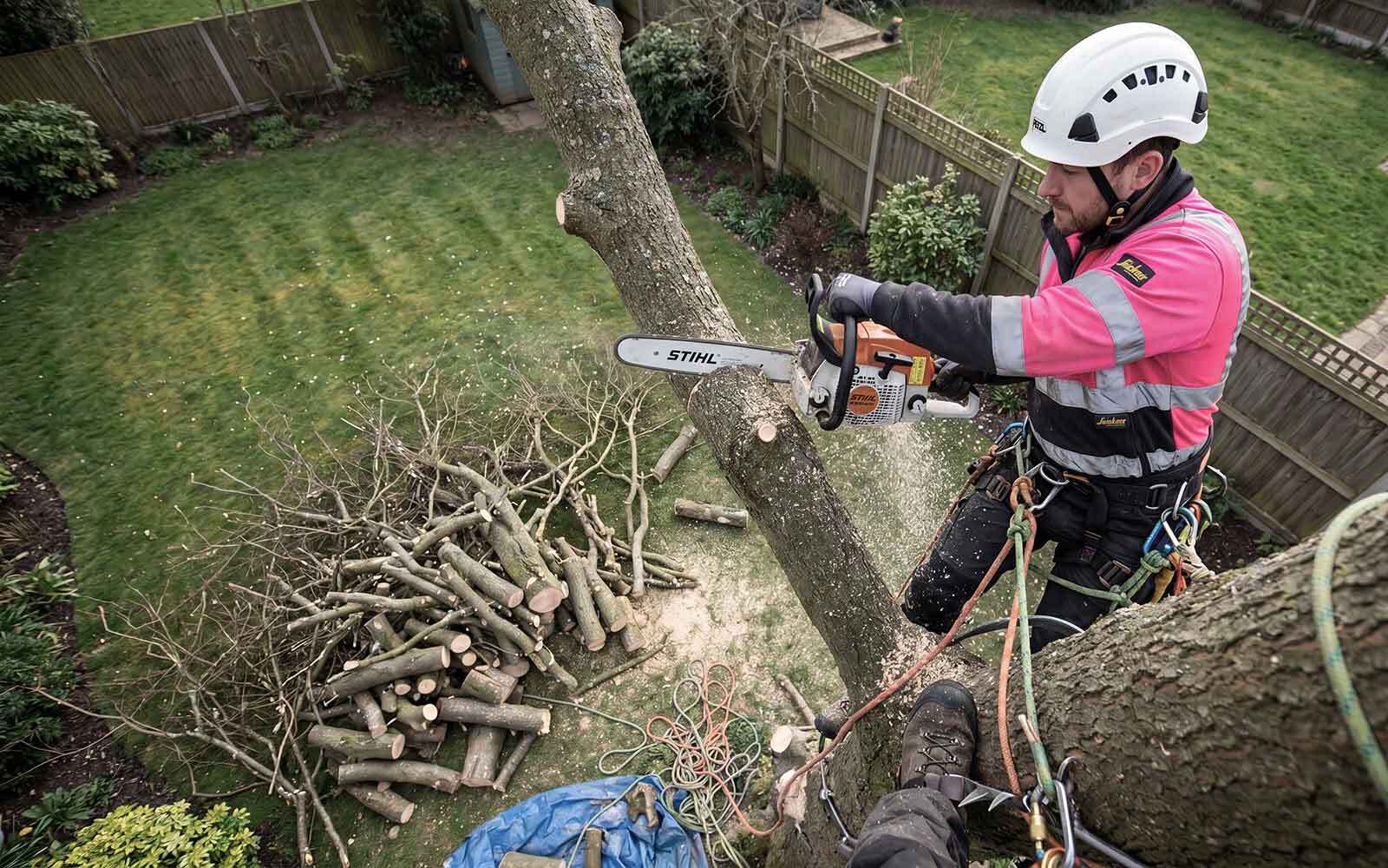 Oakwood Tree Surgery Work