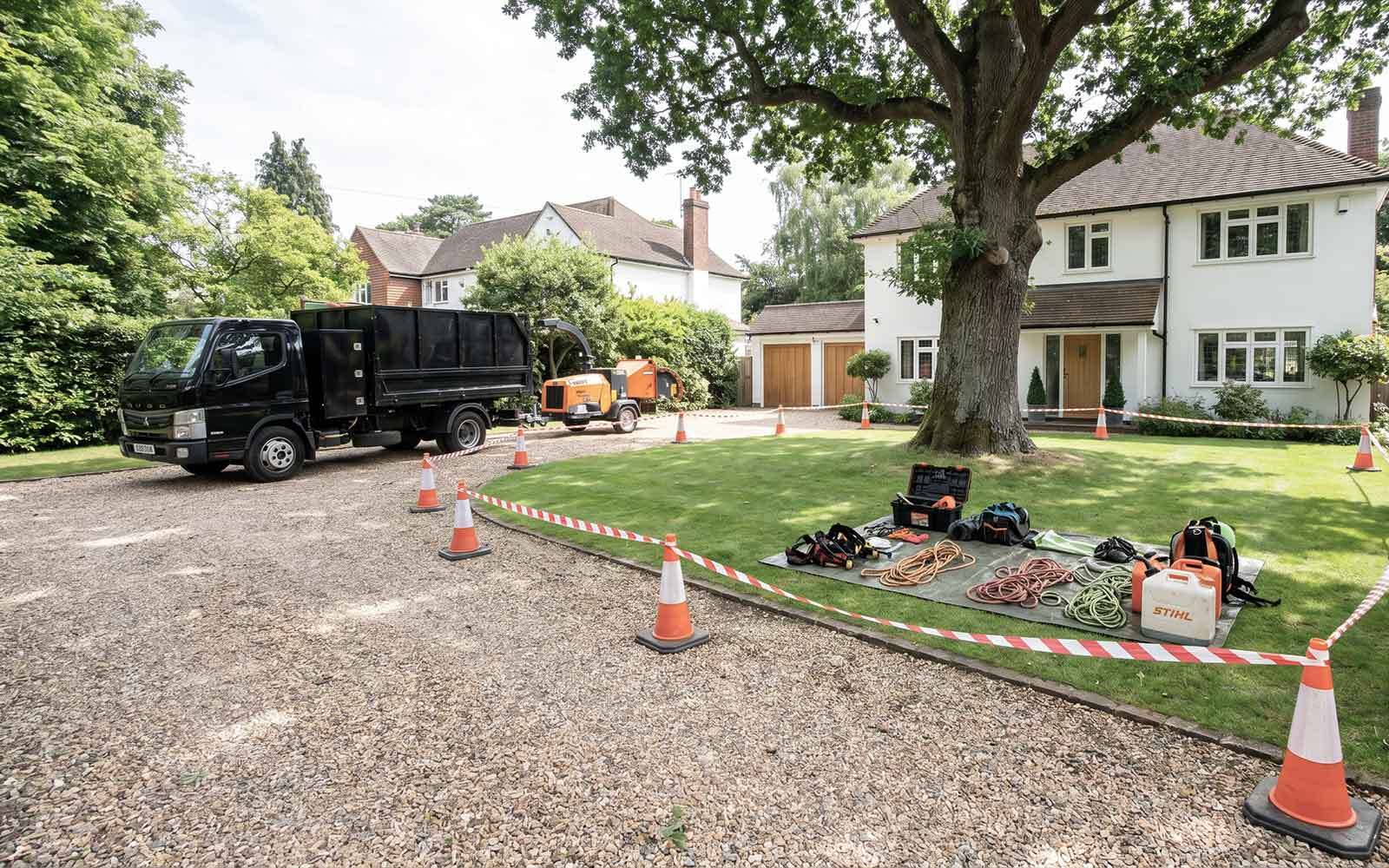 Oakwood Tree Surgery Work